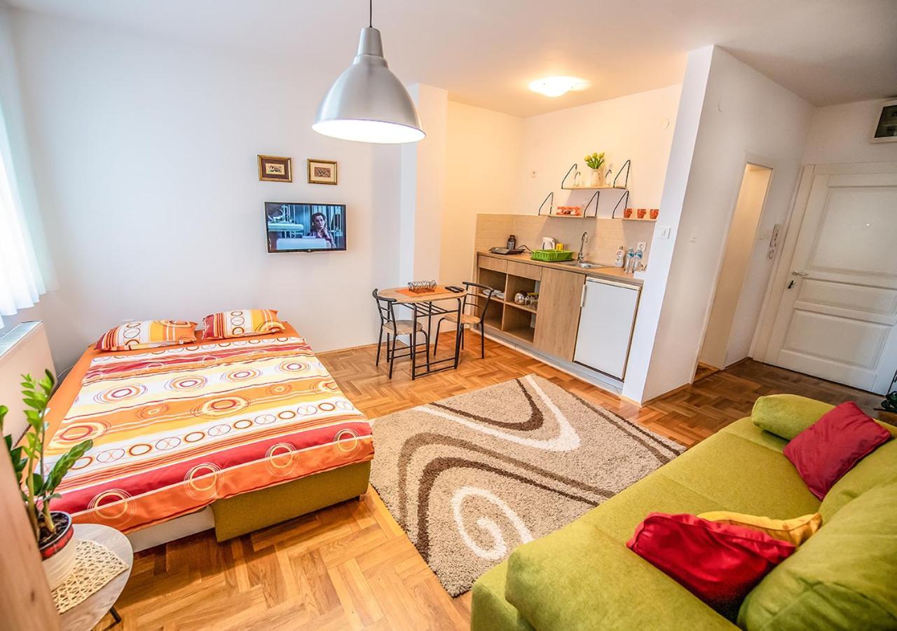 Mina Penthouse Apartment Novi Sad Bagian luar foto