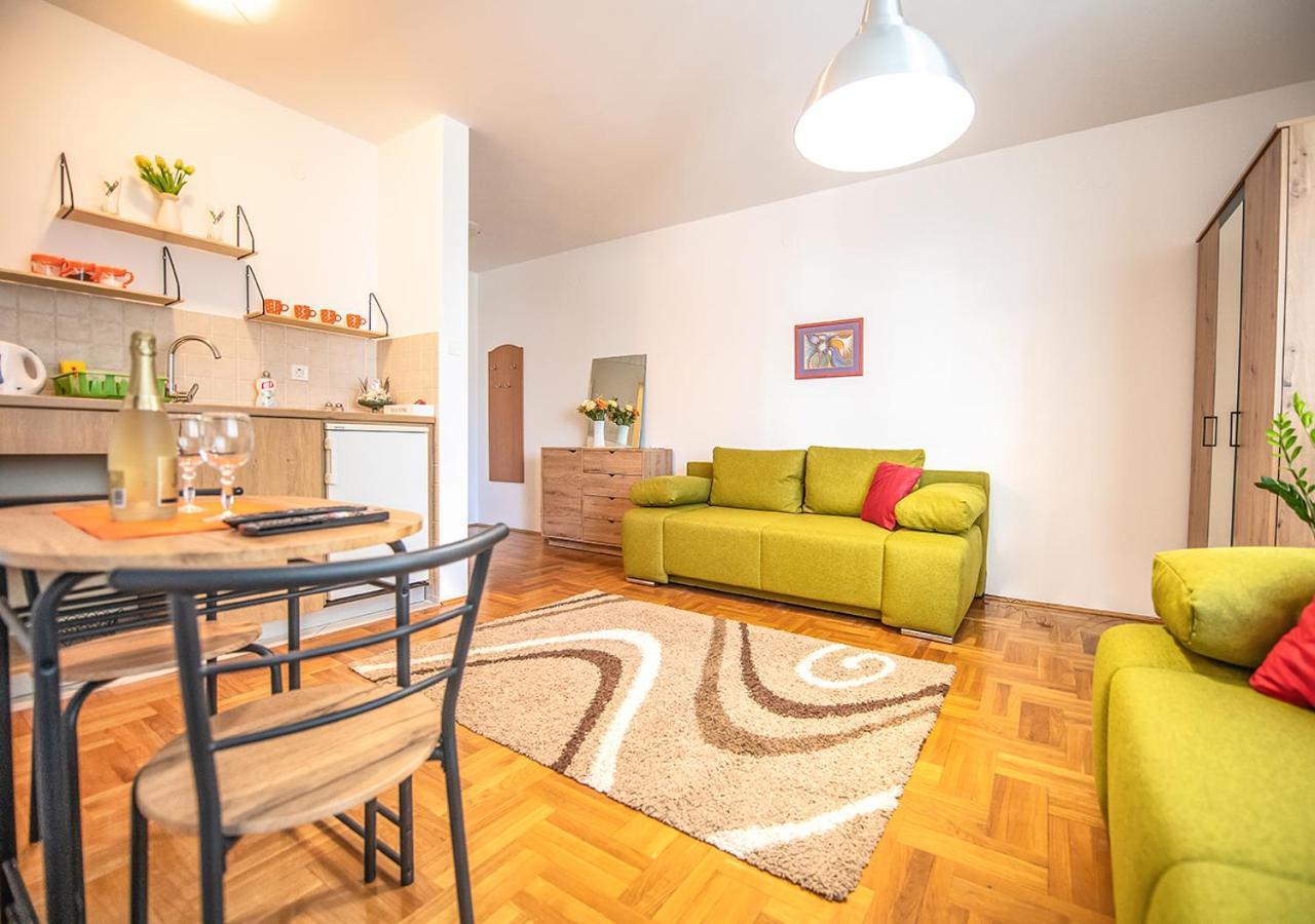 Mina Penthouse Apartment Novi Sad Bagian luar foto