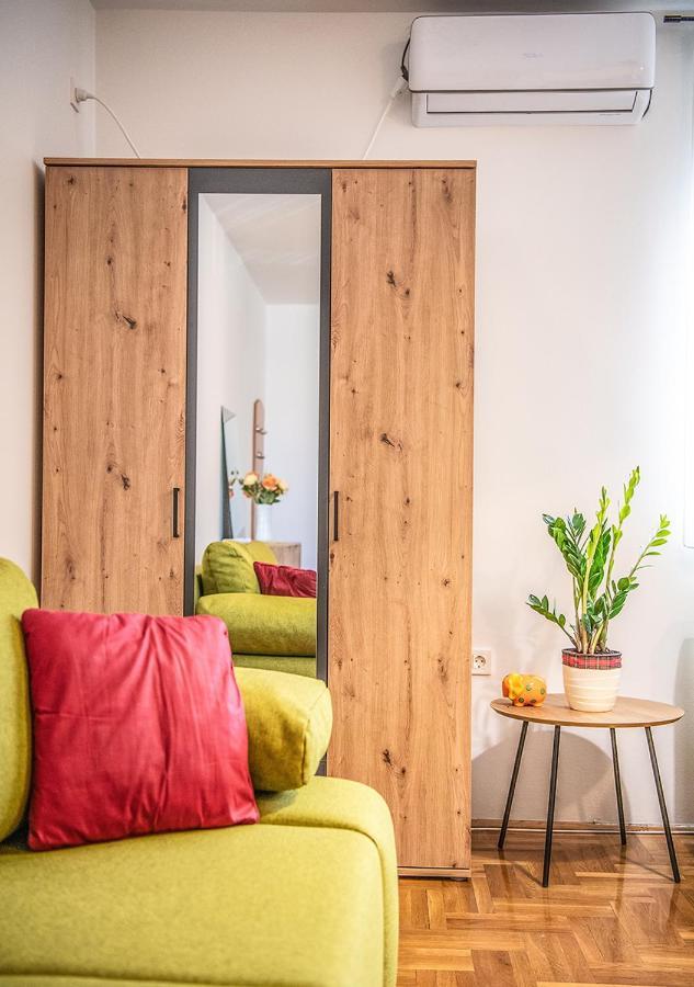 Mina Penthouse Apartment Novi Sad Bagian luar foto