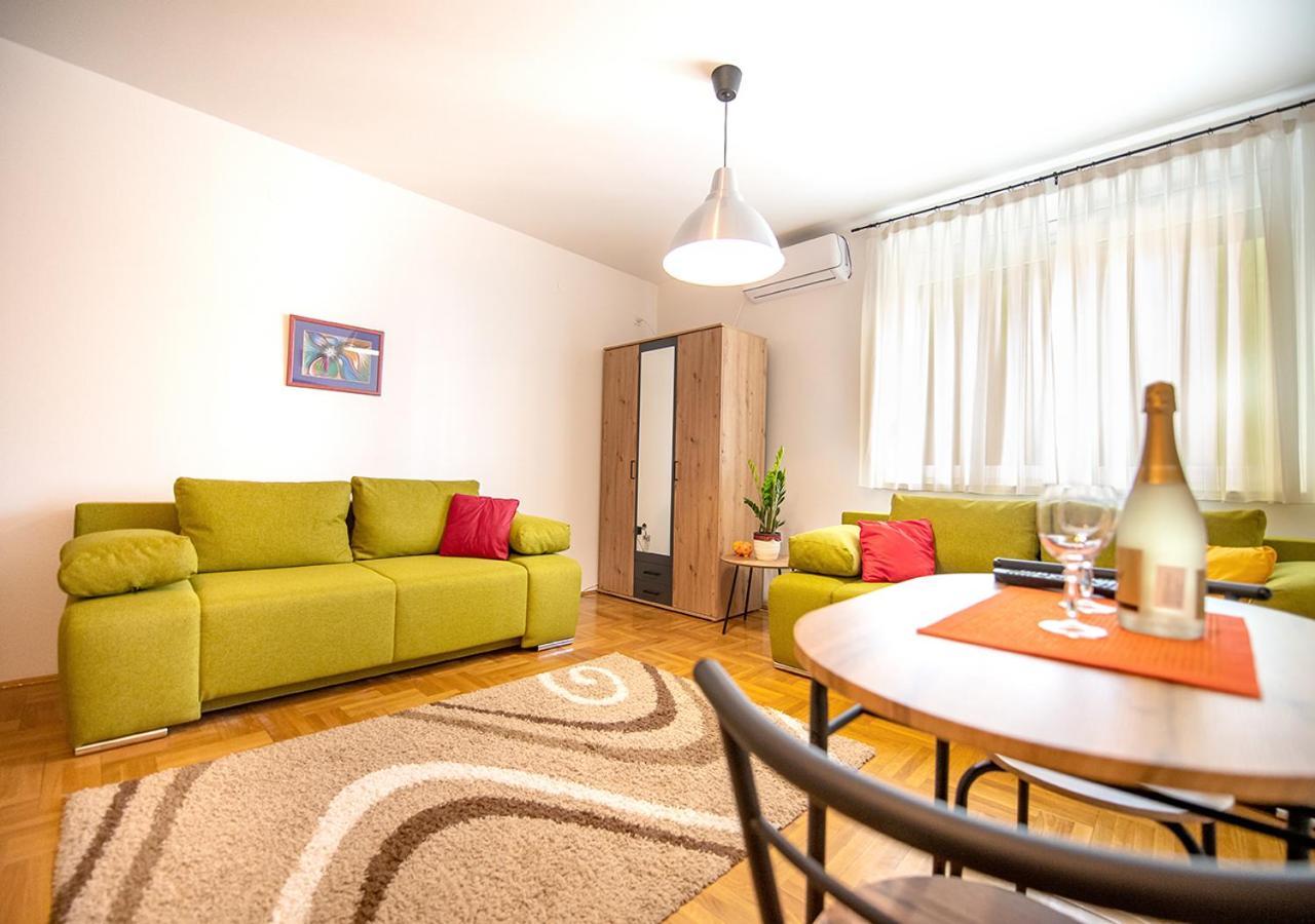 Mina Penthouse Apartment Novi Sad Bagian luar foto